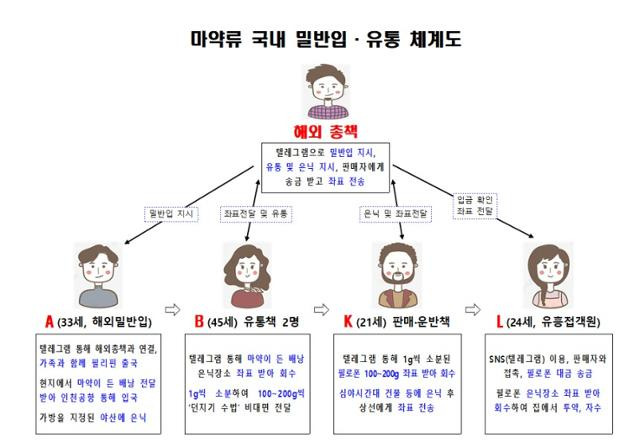 마약류 국내 밀반입 유통 체계도. 강남경찰서 제공