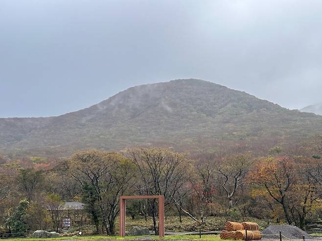 오늘(29일) 관측된 올해 한라산 첫 단풍. (기상청 제공)