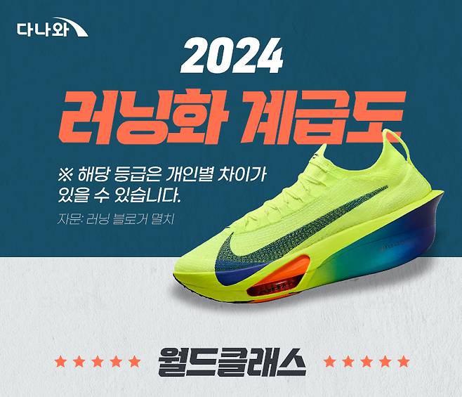 러닝 인플루언서와 함께 작성한 '러닝화 계급도 2024' 일부. /사진= 다나와 화면 캡처