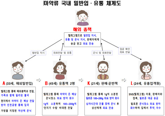 마약류 국내 밀반입·유통 체계도.  사진 강남경찰서