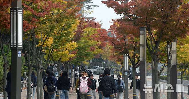 [전주=뉴시스] 김얼 기자 = 완연한 가을 날씨가 이어지고 있는 28일 전북 전주시 전북대학교 교정의 가로수가 형형색색 물들어가고 있다. 2024.10.28. pmkeul@newsis.com