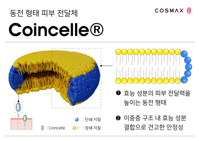 코스맥스 신규 피부전달체 코인셀(Coincelle). 자료=코스맥스 제공