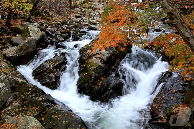 지난 29일 오후 강원 인제군 기린면 방태산 이단폭포 일대가 울긋불긋한 단풍으로 물들면서 아름다운 가을 풍경을 연출하고 있다.(인제군 제공)2024.10.30/뉴스1 ⓒ News1 윤왕근 기자
