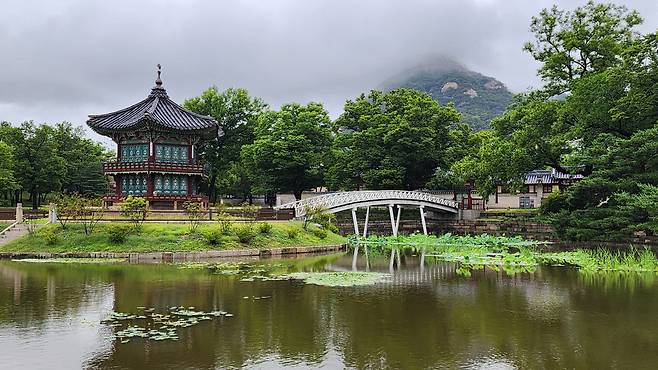 경복궁 향원정 전경. /국가유산청