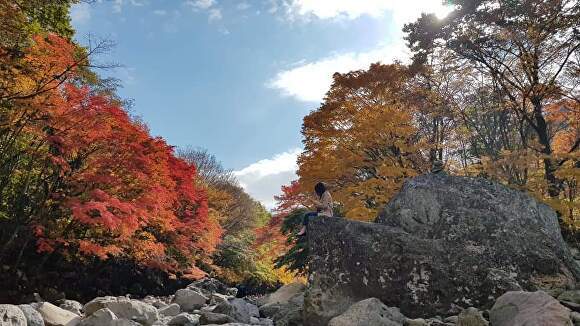 제주의 단풍명소 '천아계곡'  [사진=제주특별자치도 ]