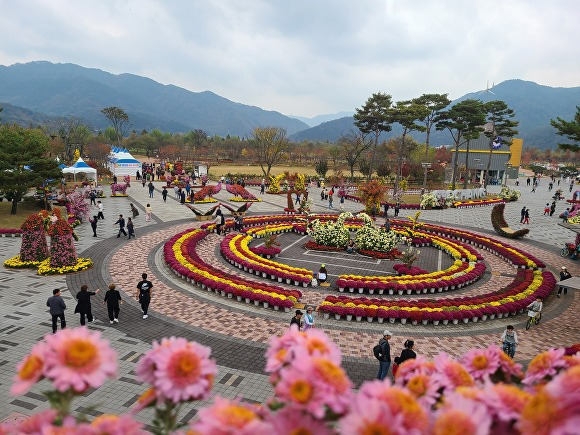 경상남도 거창군 거창 창포원에서 열리고 있는 제5회 국화 전시회 중앙광장 전경. [사진=경상남도 거창군]