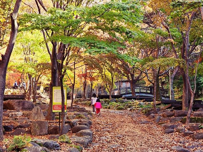 비슬산 가을 풍경(사진제공-달성군)