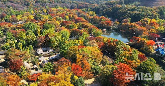 [용인=뉴시스] 김종택기자 = 완연한 가을 날씨를 보인 30일 경기도 용인시 한국민속촌에 울긋불긋한 단풍이 물들어가고 있다. 2024.10.30. jtk@newsis.com