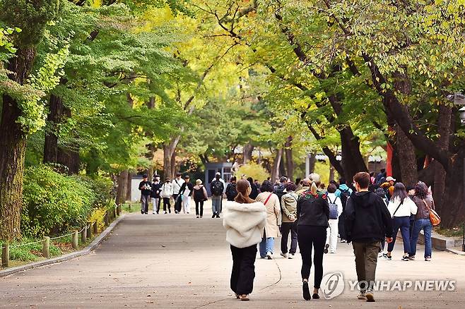 덕수궁에 찾아든 가을 (서울=연합뉴스) 진연수 기자 = 선선한 날씨를 보인 29일 오후 서울 중구 덕수궁을 찾은 관광객들이 걷고 있다. 2024.10.29 jin90@yna.co.kr