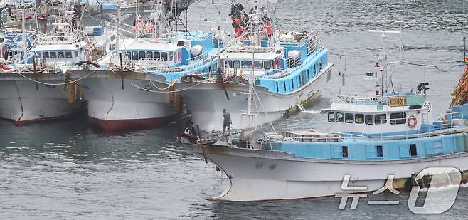 제주 서귀포항 어선들(사진은 기사 내용과 관련 없음). 2024.7.25/뉴스1 ⓒ News1 오현지 기자