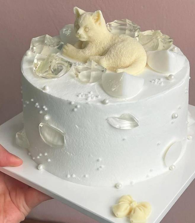 인스타그램 @anemonesi