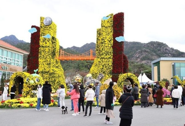 월출산 국화축제 ⓒ 영암군