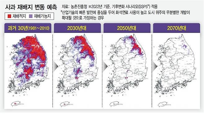 농촌진흥청이 2022년 공개한 ‘사과 재배지 변동 예측지도’를 보면 전통적인 사과 주산지 대구·경북에선 2050년대가 되면 사과 농사가 불가능해진다. 농촌진흥청 제공