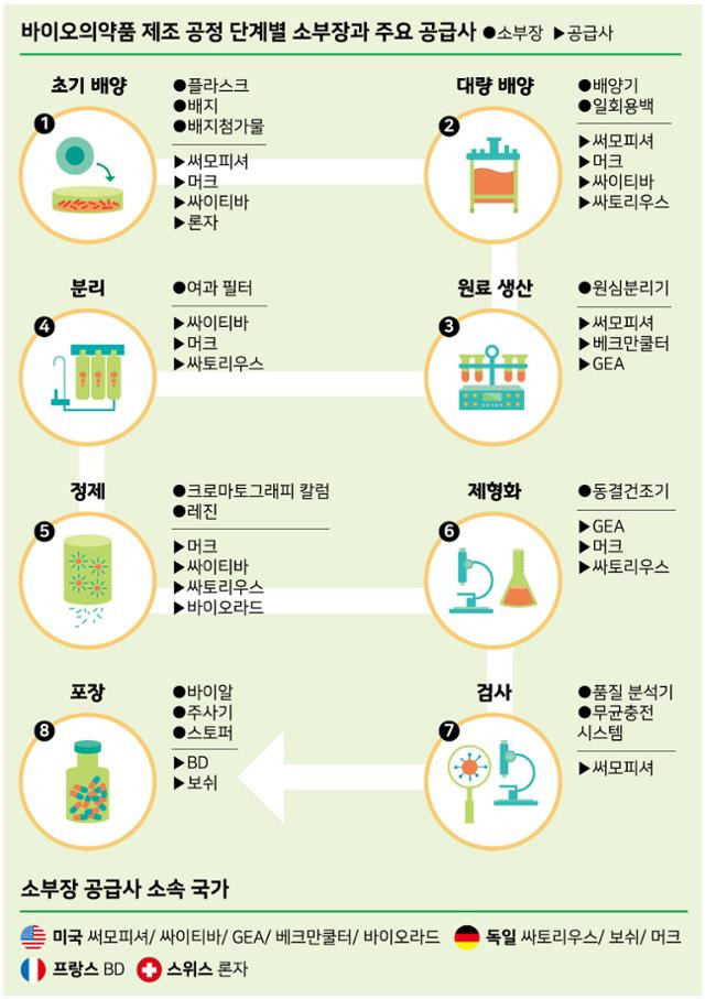 그래픽=강준구 기자