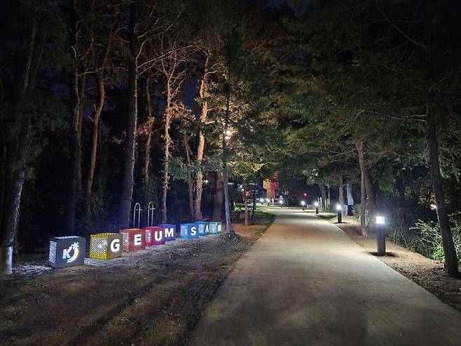 [금산=뉴시스] 충남 금산군 비호산 야간 경관. (사진= 금산군 제공) 2024.11.01. photo@newsis.com *재판매 및 DB 금지