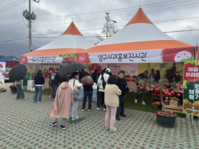 ▲ ‘2024 청춘양구 펀치볼 시래기 사과축제’가 2일 해안면 펀치볼 힐링하우스 앞 성황지 일원에서 개막됐다. 축제는 3일까지 공연과 체험, 시래기·사과 판매, 먹거리 등 다양한 프로그램으로 진행된다.