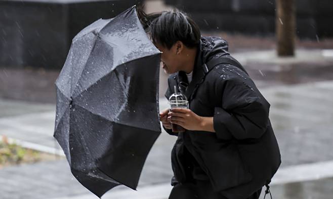 우산을 쓴 시민의 모습. 뉴시스