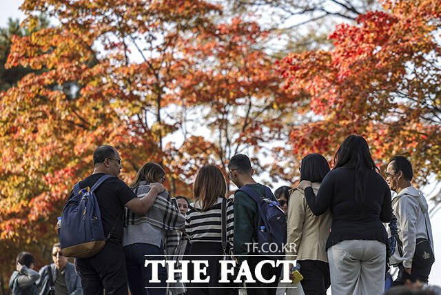 서울 중구 남산공원을 찾은 관광객들도 붉은빛으로 물든 단풍을 즐기고 있다.