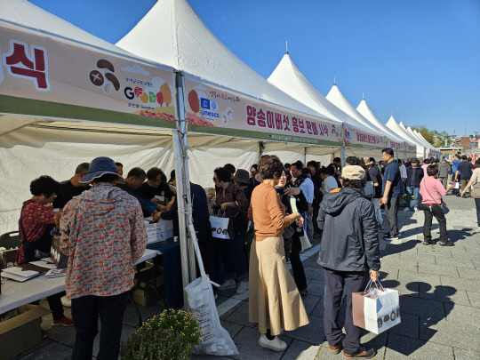 2024년 양송이·표고버섯 축제장 모습. 부여군 제공