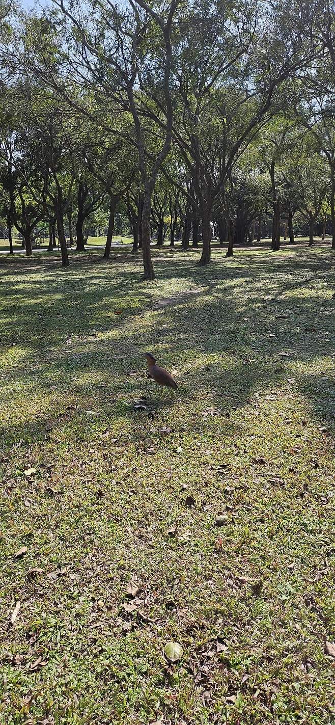 7fed8272b58369f751ee87e5418170730026af8a8d621e3f5ed693c1bccfe4cc