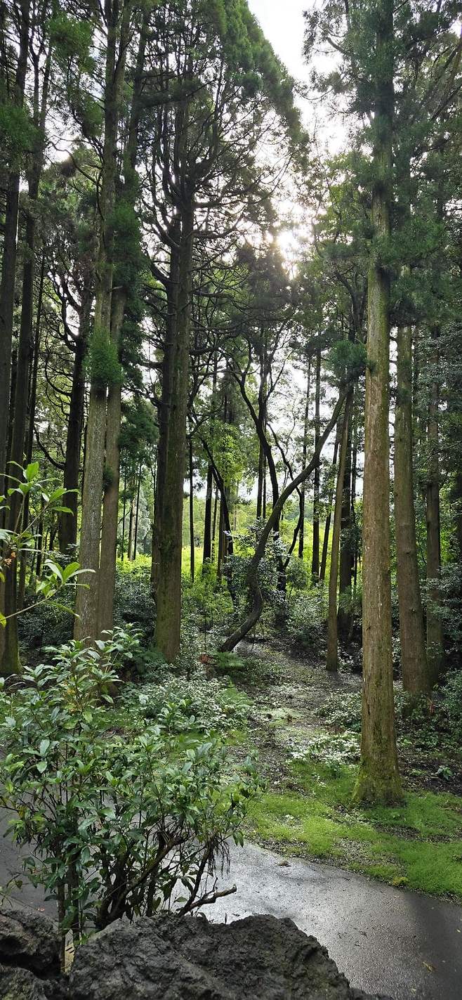 viewimage.php?id=23b2db27ebc637&no=24b0d769e1d32ca73de98ffa1bd62531904e3409f6e528d418e9c4060d2f6d4a487ba8a5c981dcdcaf1a076d9d624e43624f3cb9461d042de7981baa992099afc09822