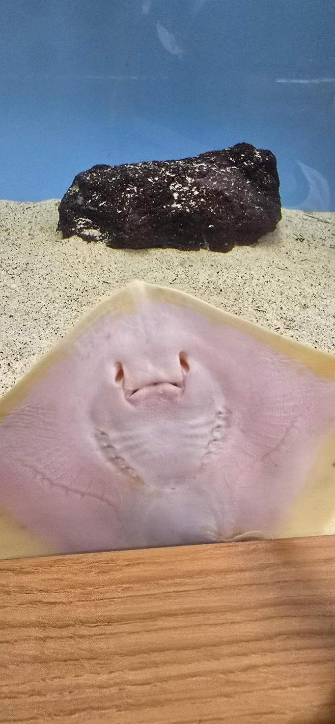 viewimage.php?id=23b2db27ebc637&no=24b0d769e1d32ca73de98ffa1bd62531904e3409f6e528d418e9c4060d2f6d4a487ba8a5c981dcdcaf1a076d9d624e43624f3cb9461d047bb29916f8c9279faf8f89a0