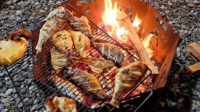 20241102_191204.jpg 캠핑 2일차) 저녁은 소고기와 자연산 대하 그리고 무늬오징어!!!!