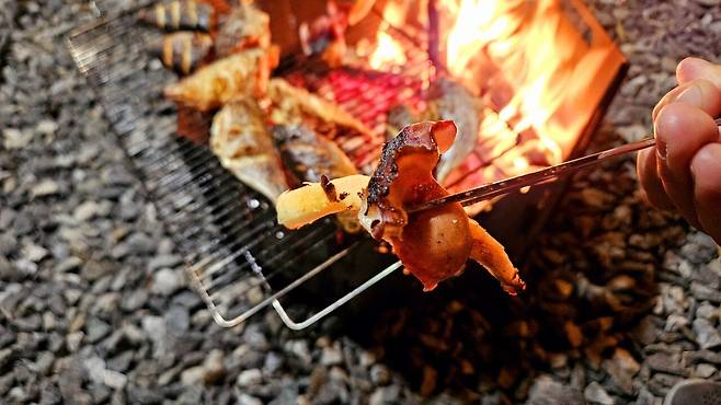 20241102_191822.jpg 캠핑 2일차) 저녁은 소고기와 자연산 대하 그리고 무늬오징어!!!!