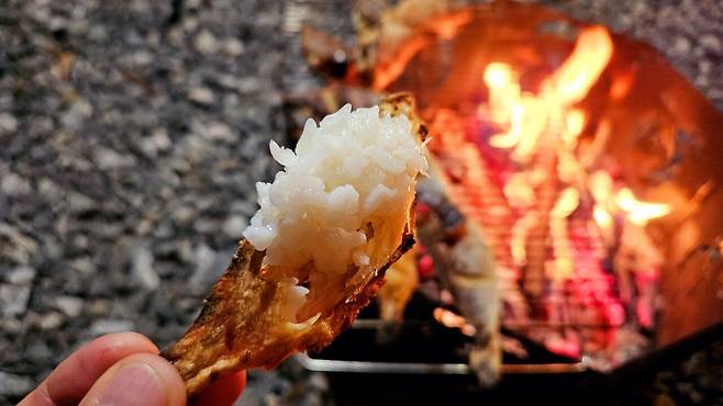 20241102_192718.jpg 캠핑 2일차) 저녁은 소고기와 자연산 대하 그리고 무늬오징어!!!!