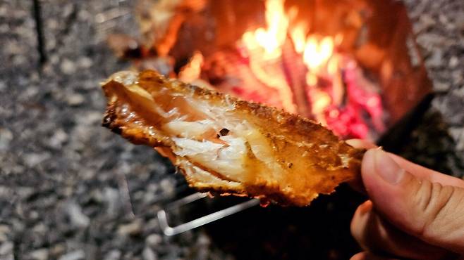 20241102_192759.jpg 캠핑 2일차) 저녁은 소고기와 자연산 대하 그리고 무늬오징어!!!!