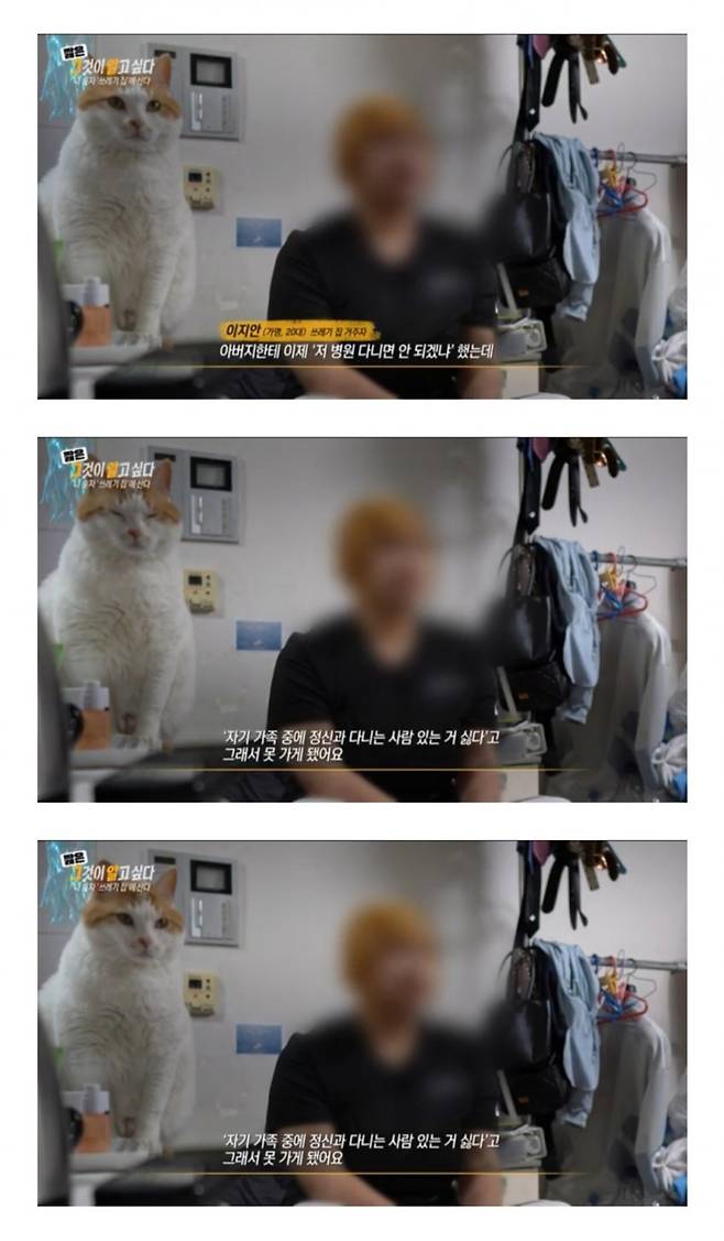 8.jpg 쓰레기집에 처음 방문한 제작인 신기한 고양이