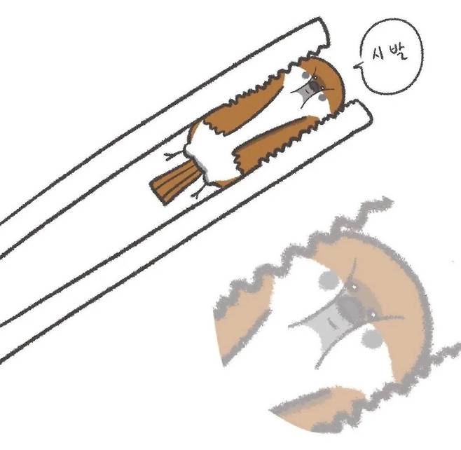 IMG_2427.webp.ren.jpg 일단 베란다에 들어온 참새 잡음