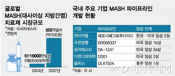 글로벌 MASH(대사이상 지방간염)치료제 시장규모·국내 주요 기업 MASH 파이프라인 개발 현황. /그래픽=임종철 디자인기자