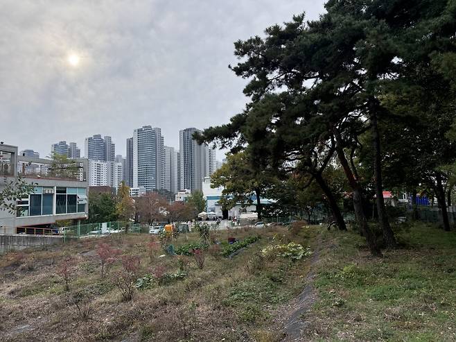 서울시 강동구 둔촌동 그린벨트지역. 그린벨트 뒤로 이달 입주를 시작하는 대한민국에서 가장 큰 아파트 단지 올림픽파크포레온이 보인다. 서영상 기자