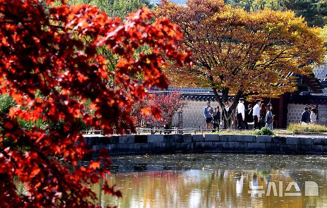 [서울=뉴시스] 김명원 기자 = 전국이 대체로 맑은 가운데 낮 기온이 20도 이상으로 올라 포근한 날씨를 보인 3일 나들이 나온 시민들과 관광객들이 서울 종로구 경복궁의 가을풍경을 즐기며 산책하고 있다. 2024.11.03. kmx1105@newsis.com