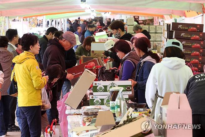 청춘양구 펀치볼 시래기사과축제 [연합뉴스 자료사진]