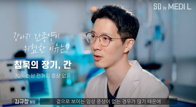 김규창 SD동물의료센터 원장이 유튜브 강의를 통해 반려견의 간종양에 대해 설명하고 있다. (SD동물의료센터 제공) ⓒ 뉴스1