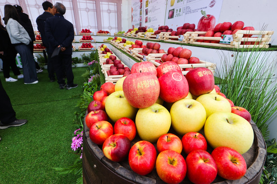 Apples are on display at the Gyeongbuk Apple Festival at Seoul Plaza in central Seoul on Monday. [YONHAP]