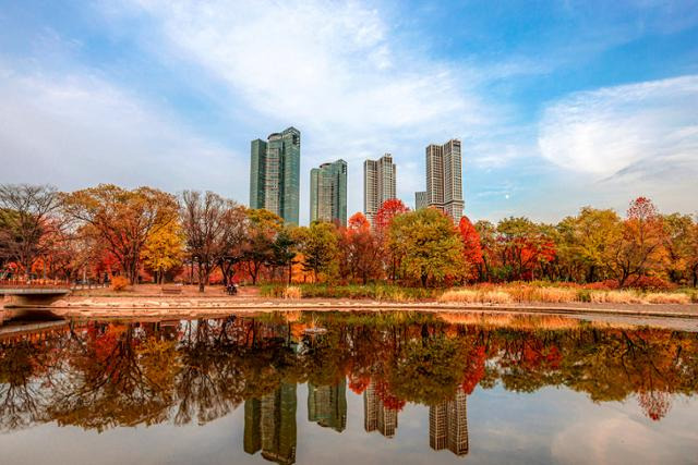 다양한 색상의 가을 색이 조화로운 서울숲 단풍. 관광 약자를 위한 시설이 비교적 잘 갖춰진 곳이다. 서울관광재단 제공