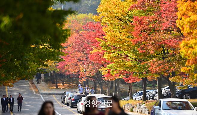 지난 2016년 10월 20일. 곱게 물든 서울 서초동 대검청사 진입로에서 시민들이 산책하고 있다. 정지윤 선임기자