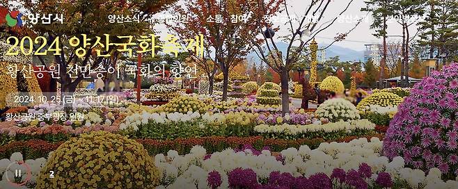 2024 양산국화축제  [양산시청 홈페이지 캡처]