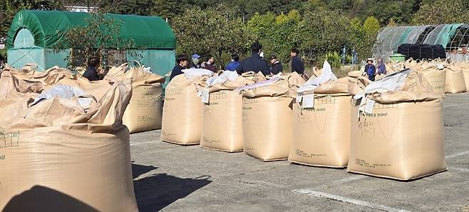 공공비축미 수매 [광주시 제공. 재판매 및 DB 금지]