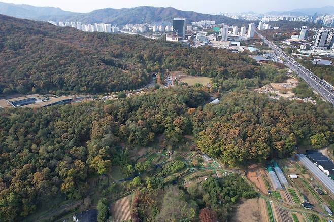 5일 국토부가 신규 택지지구를 발표한 서울 서초구 양재2동 그린벨트 지역의 모습. /고운호 기자