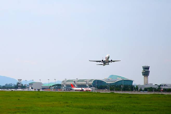 무안국제공항 전경. /뉴스1