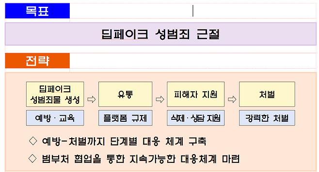 "위장수사에 딱 걸렸네" 딥페이크 성범죄 뿌리뽑는다