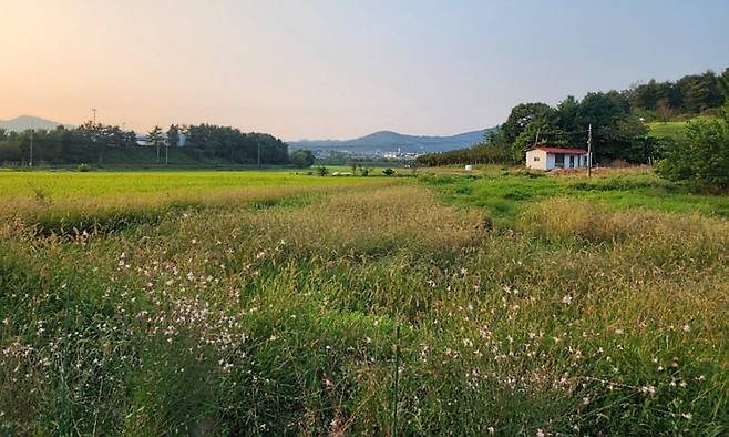 이동마을 촌캉스의 중심인 민박집과 주변 풍경. 홍성군 제공