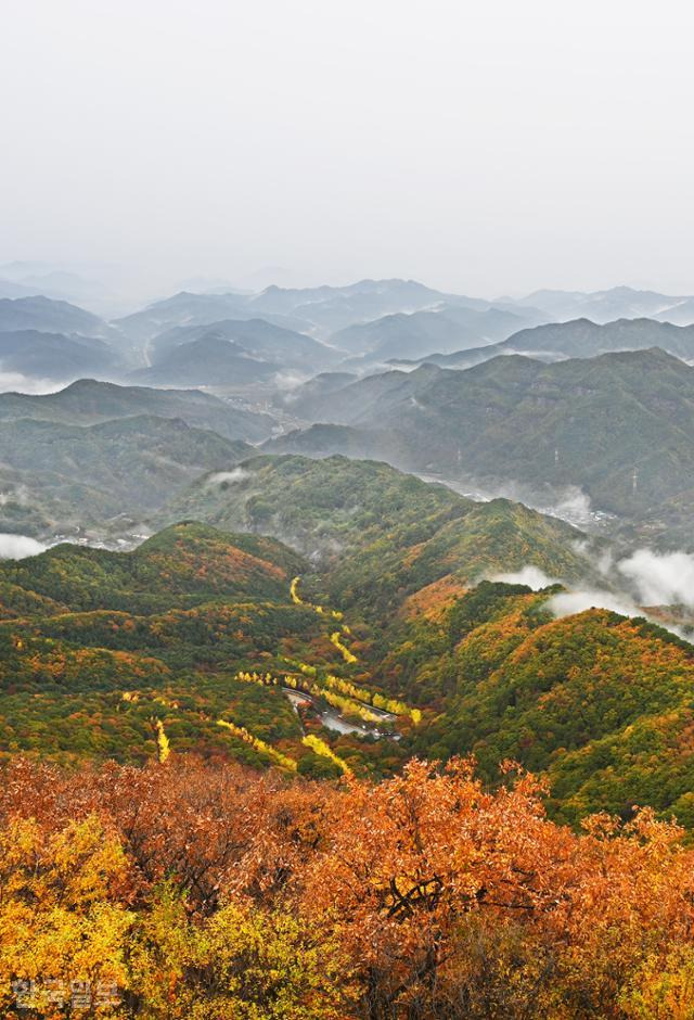 지난 1일 적상산 전망대에서 북측으로 본 모습. 산꼭대기에서 시작된 단풍이 산 아래로 서서히 흘러내리고 있다.