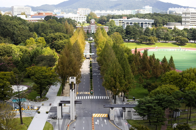 [광주=뉴시스] 전남대학교 전경. (사진 제공 = 전남대학교) *재판매 및 DB 금지