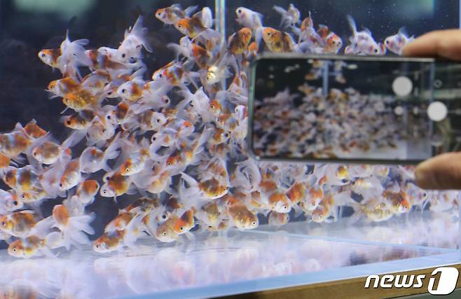 (사진은 기사 내용과 무관함) 2022.10.19/뉴스1 ⓒ News1 송원영 기자