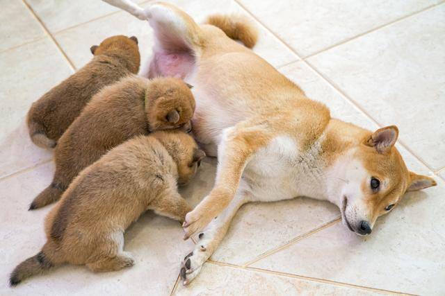 게티이미지뱅크